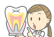 虫歯・歯周病を予防したい